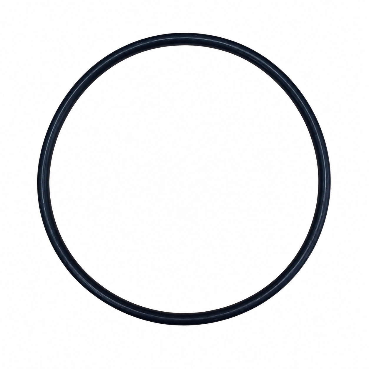 Filter Gasket